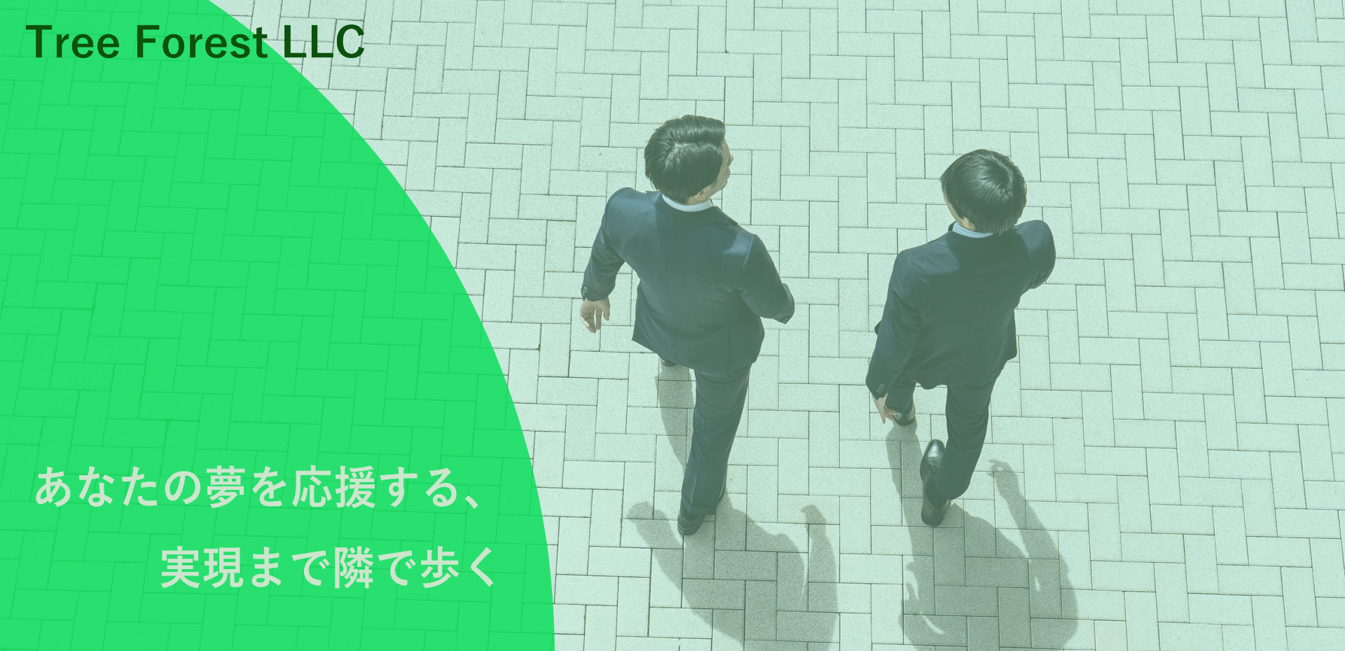 KVセクション